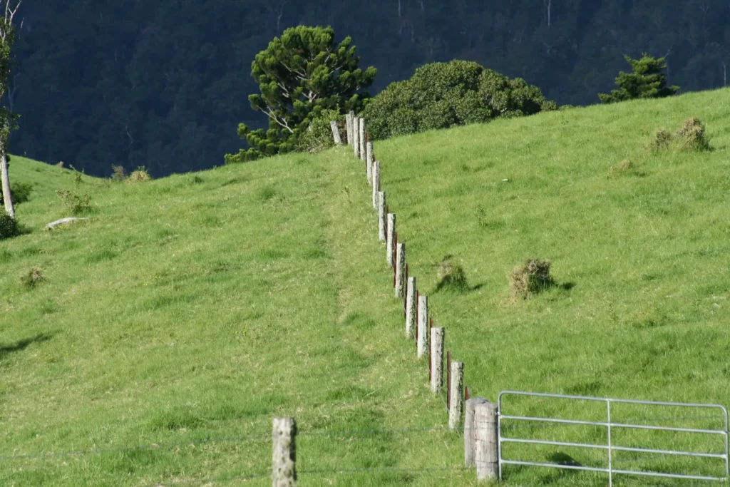 a prairie has fence in the middle
