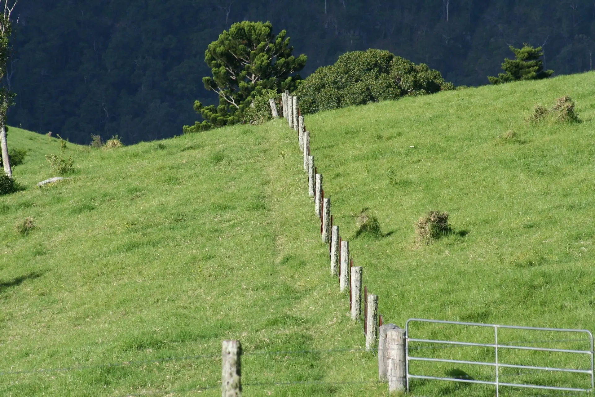 a prairie has fence in the middle
